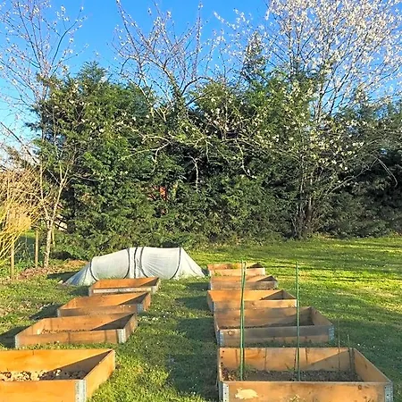 Oda ve Kahvaltı Domaine Pierrot